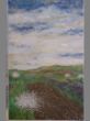 Felder im Frühling 2 80 x 120.JPG