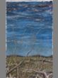 Landschaft mit Spinnennetz 105 x 150.JPG