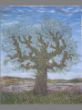 Olivenbaum im Frühling 135 x 170.JPG