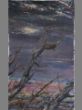 Verlassenes Vogelnest 105 x 150.JPG