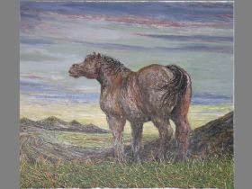 Pferd im Kohleland - x -.JPG