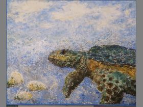Schildkröte 80 x 60.JPG