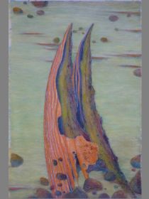 Korallensegel 110 x 150.JPG